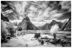 Milford Sound, Fjordland